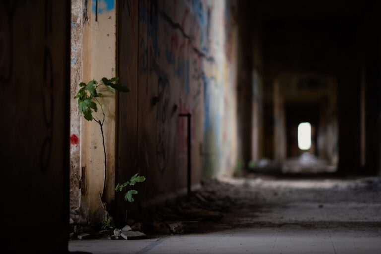 Cum să-ți menții calmul și echilibrul în situații de conflict și tensiune