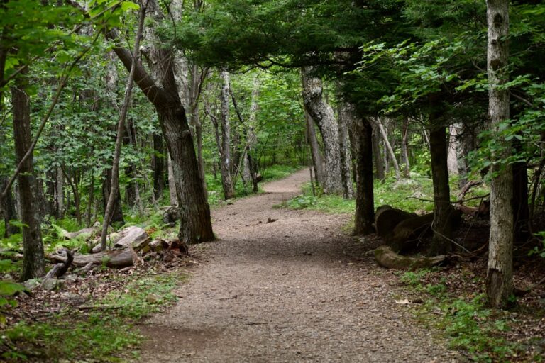 Cum să îți planifici o călătorie activă: Drumeții, ciclism și sporturi de aventură