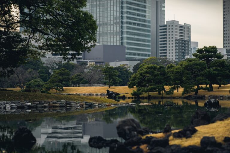 Filosofia zen: îmbunătățirea vieții cotidiene