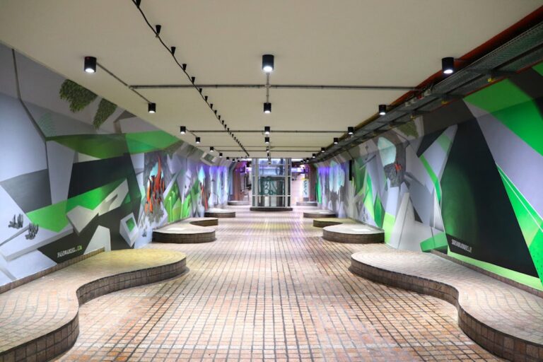 Explorând istoria culturii prin filosofie