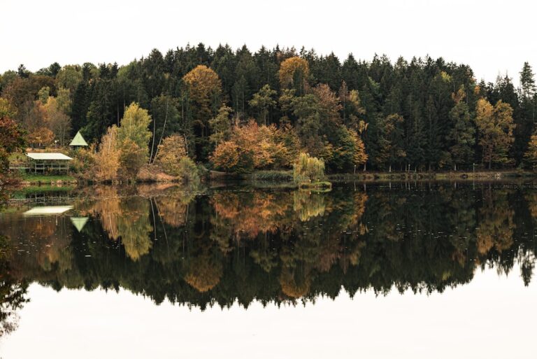 Transformarea prin auto-reflecție: Cum să-ți schimbi viața