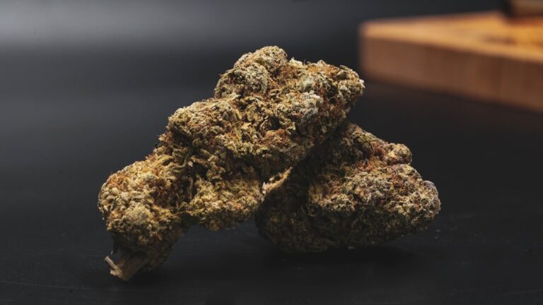 Cum să alegi mașina perfectă pentru călătorii lungi