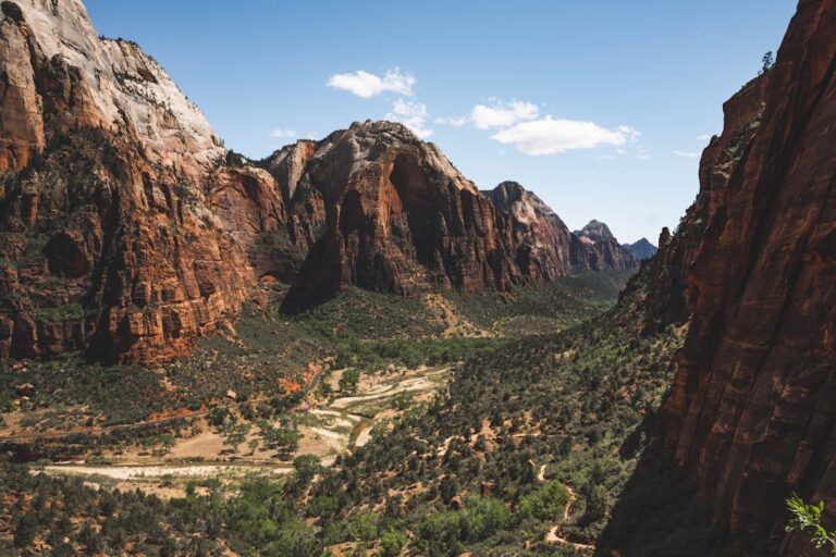 Construiește-ți o reziliență emoțională puternică