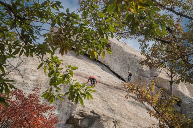 Cum să înfrunți teama de eșec: Trucuri eficiente